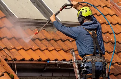 Démoussage et hydrofuge de toiture à Biesheim